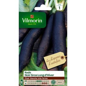 Graines de radis variété "Noir gros long d'hiver" Vilmorin semis de juin à août