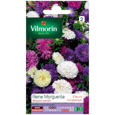 Graines de Reine marguerite Beauté variée Vilmorin