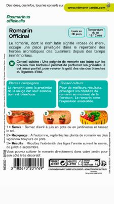 Graines de romarin variété "Officinal" Vilmorin semis d'avril à juin
