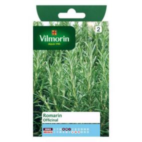 Graines de romarin variété "Officinal" Vilmorin semis d'avril à juin