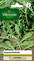 Graines de Roquette Cultivée Vilmorin