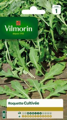 Graines de roquette variété "Cultivée" Vilmorin semis de mars à août