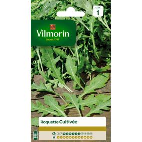 Graines de roquette variété "Cultivée" Vilmorin semis de mars à août