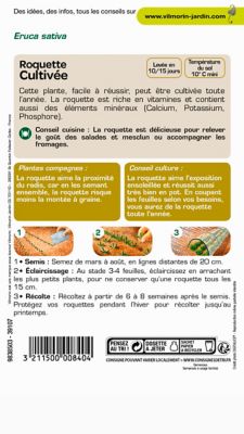 Graines de roquette variété "Cultivée" Vilmorin semis de mars à août