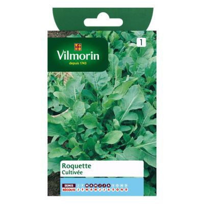 Graines de roquette variété "Cultivée" Vilmorin semis de mars à août
