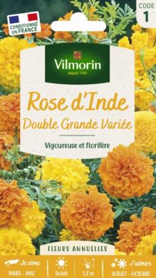 Graines de Rose d'Inde Double Grande Variée Vilmorin