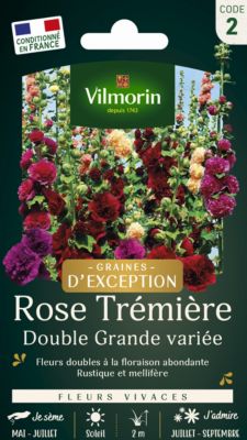 Graines de Rose Trémière Double Grande Variée Vilmorin