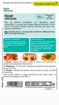 Graines de sauge variété "Officinale" Vilmorin semis de mars à juillet