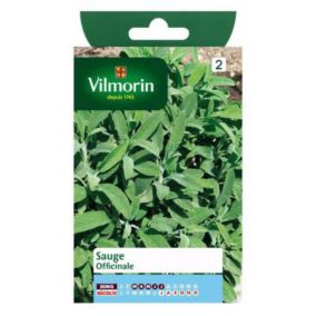 Graines de sauge variété "Officinale" Vilmorin semis de mars à juillet