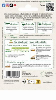 Graines de sauge variété "Officinale" Vilmorin semis de mars à juillet