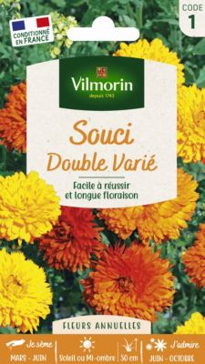Graines de Souci Double Varié Vilmorin