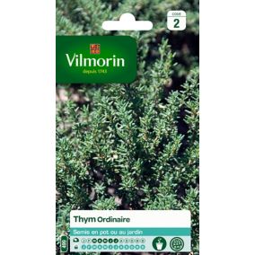 Graines de thym variété "Ordinaire" Vilmorin semis de mars à juillet