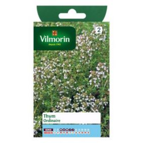 Graines de thym variété "Ordinaire" Vilmorin semis de mars à juillet