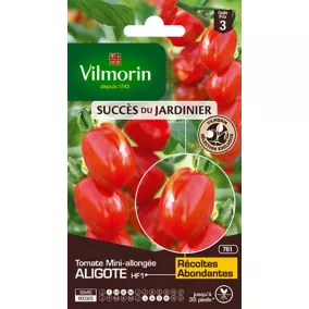 Graines de Tomate Aligote HF1 Vilmorin