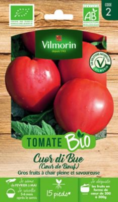 Graines de tomate bio variété "Cœur de bœuf" Vilmorin semis de février à mai