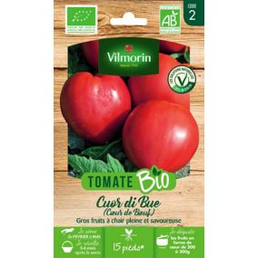 Graines de tomate bio variété "Cœur de bœuf" Vilmorin semis de février à mai