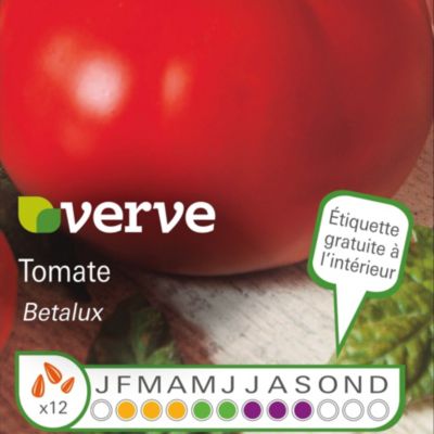 Graines de tomate bio variété "Faworyt" Verve semis de février à avril