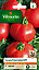 Graines de Tomate Fournaise Hybride F1 Vilmorin