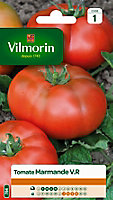 Graines de Tomate Marmande Vilmorin