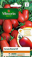 Graines de Tomate Roma V.F Vilmorin