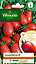 Graines de Tomate Roma V.F Vilmorin