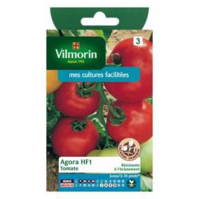 Graines de tomate variété "Agora HF1" Vilmorin semis de février à mai