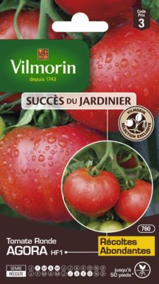 Graines de tomate variété "Agora HF1" Vilmorin semis de février à mai