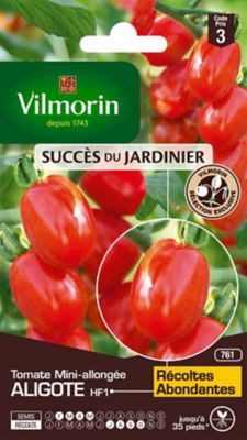 Graines de tomate variété "Aligote HF1" Vilmorin semis de février à mai