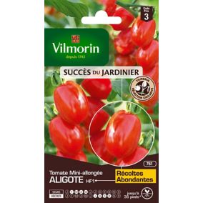 Graines de tomate variété "Aligote HF1" Vilmorin semis de février à mai