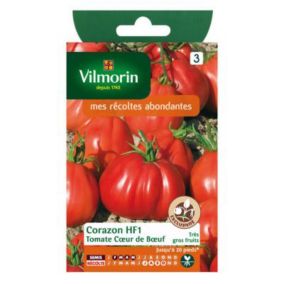 Graines de tomate variété "Cœur de bœuf Corazon HF1" Vilmorin semis de février à mai