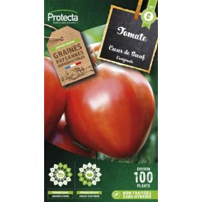 Graines de tomate variété "Cœur de bœuf" Protecta semis de janvier à avril