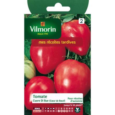 Graines de tomate variété "Cœur de bœuf" Vilmorin semis de février à mai