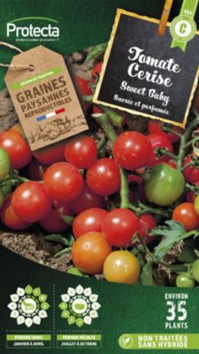 Graines de tomate variété "Cerise Sweet baby" Protecta semis de janvier à avril