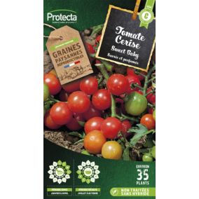 Graines de tomate variété "Cerise Sweet baby" Protecta semis de janvier à avril