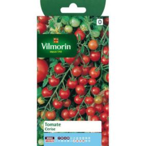 Graines de tomate variété "Cerise" Vilmorin semis de février à mai