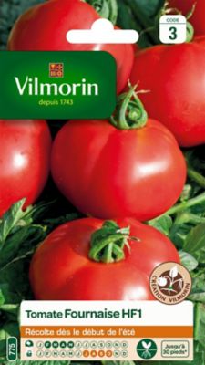 Graines de tomate variété "Fournaise HF1" Vilmorin semis de février à mai