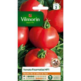 Graines de tomate variété "Fournaise HF1" Vilmorin semis de février à mai