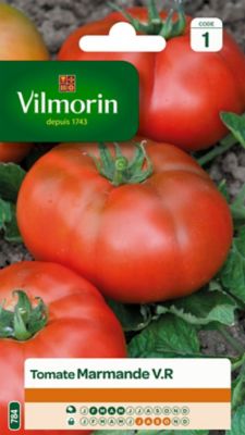 Graines de tomate variété "Marmande" Vilmorin semis de février à mai