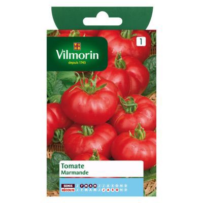 Graines de tomate variété "Marmande" Vilmorin semis de février à mai
