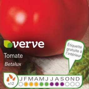 Graines de tomates BETALUX BIOLOGIQUES
