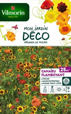 Graines mélange Camaieu flamboyant 25 m²