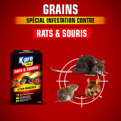 Grains spécial infestation contre rats et souris K-Pro