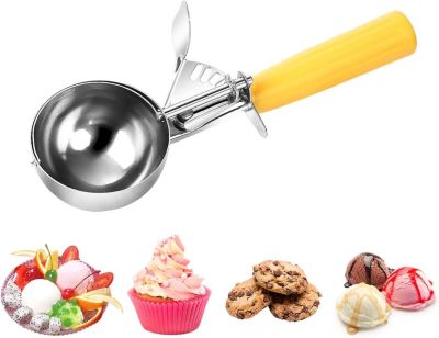 Grande cuillère à glace et biscuits en acier inoxydable