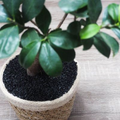Gravier décoratif coloré 2/3 mm (Pot 1kg) - Noir