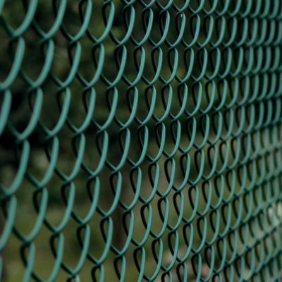 Grillage maille losange 10 m Werka Pro