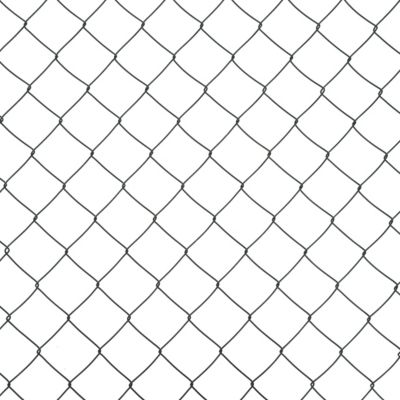 Grillage simple torsion Blooma maille 60 x 60 mm vert 10 x h.1 m