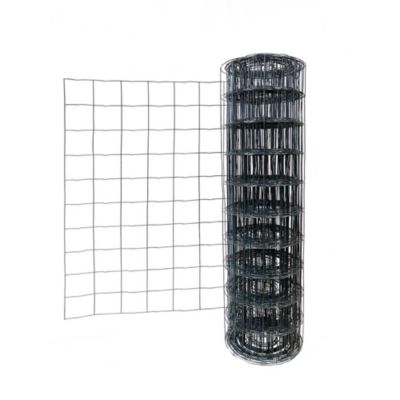 Grillage soudé anthracite maille 100 x 100 mm - rouleau 20m x h.100 cm