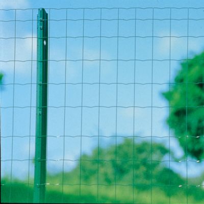 Grillage soudé vert maille 100 x 75 mm - H.100 cm x rouleau L.25 m + 5m OFFERTS