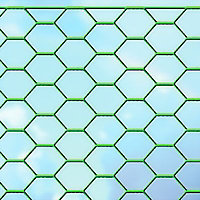 Grillage triple torsion vert 25 x 25mm, L.10 x h.0,5 m