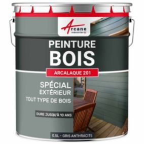 Gris Anthracite - RAL 7016 - 0.5 L - ARCANE INDUSTRIES